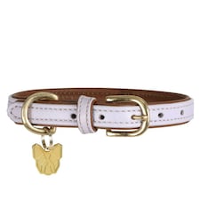 Digby & Fox Leather Padded Dog Collar - Lilac - XL - Neckline: 58cm-64cm
