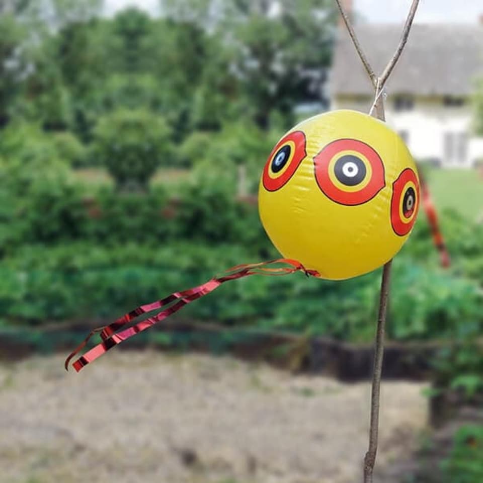image 1 of Defenders Eyeball Bird Scarer