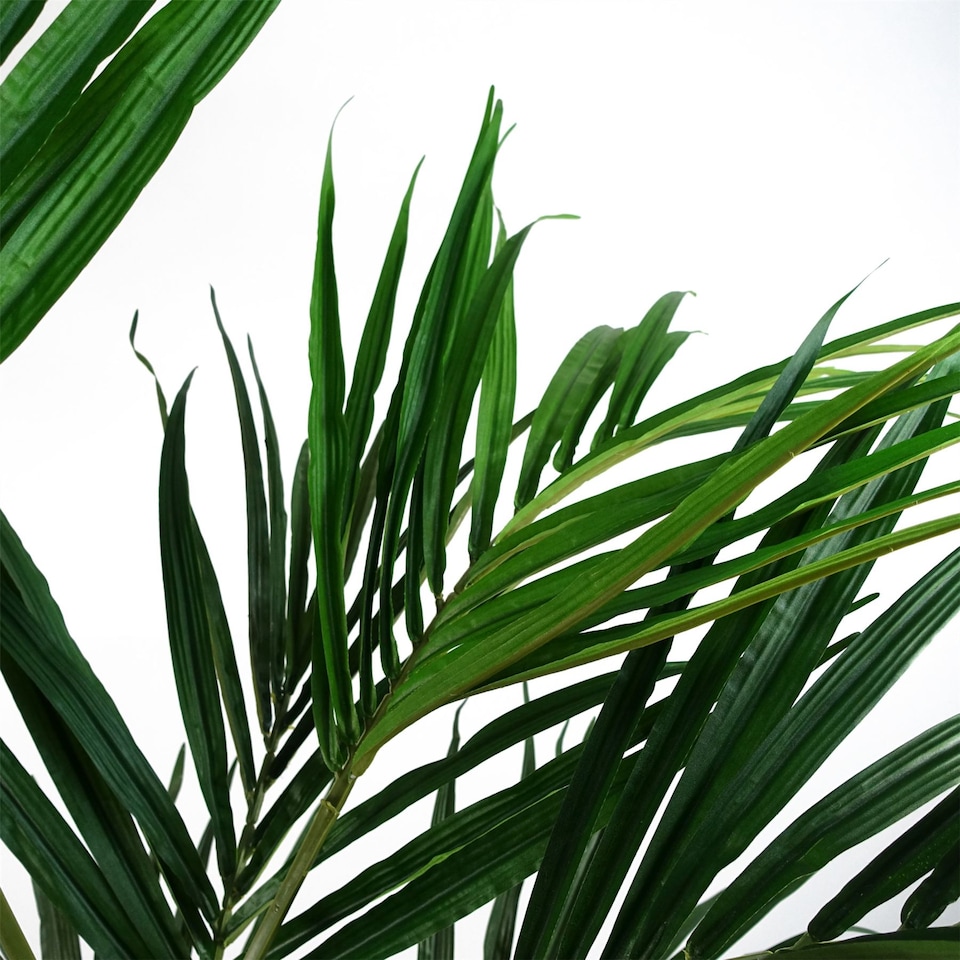 image 1 of Kentia Palm Artificial Tree 150cm - Realistic plant by Botanik | Green | 5ft
