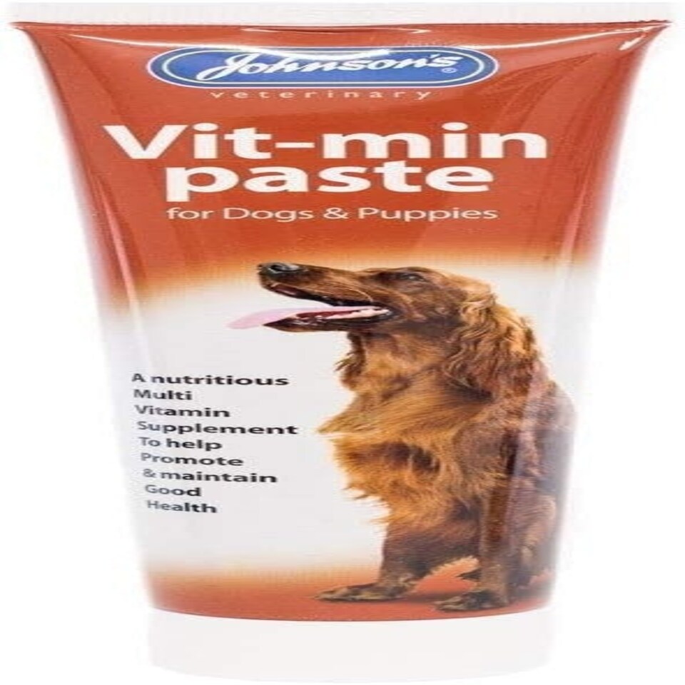 Johnsons Vit-Min Paste Dogs 100gm