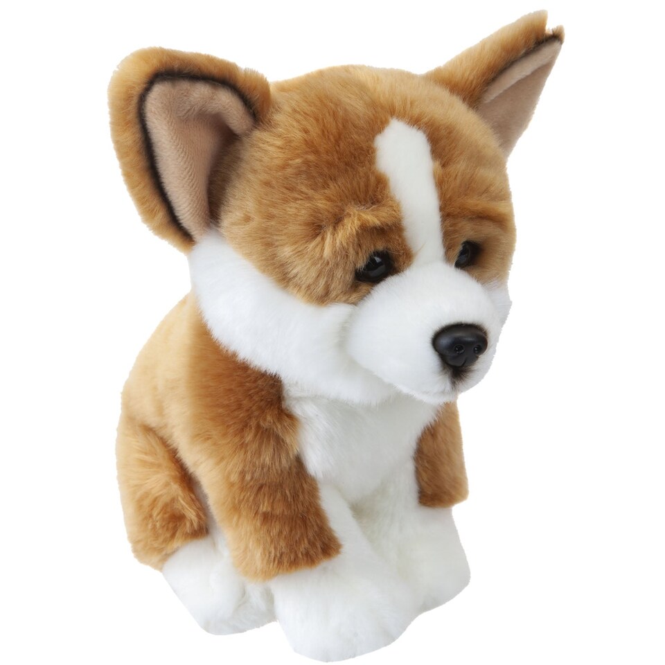 PMS Corgi Puppy 25cm Plush - Natural World Collection