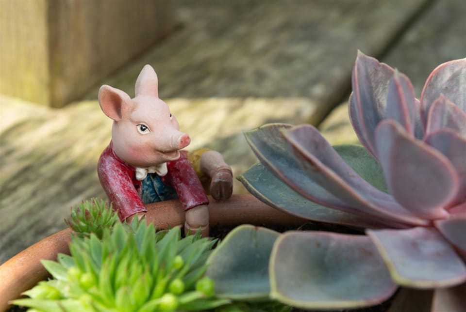 image 1 of Beatrix Potter Pigling Bland Plant Pot Hanger