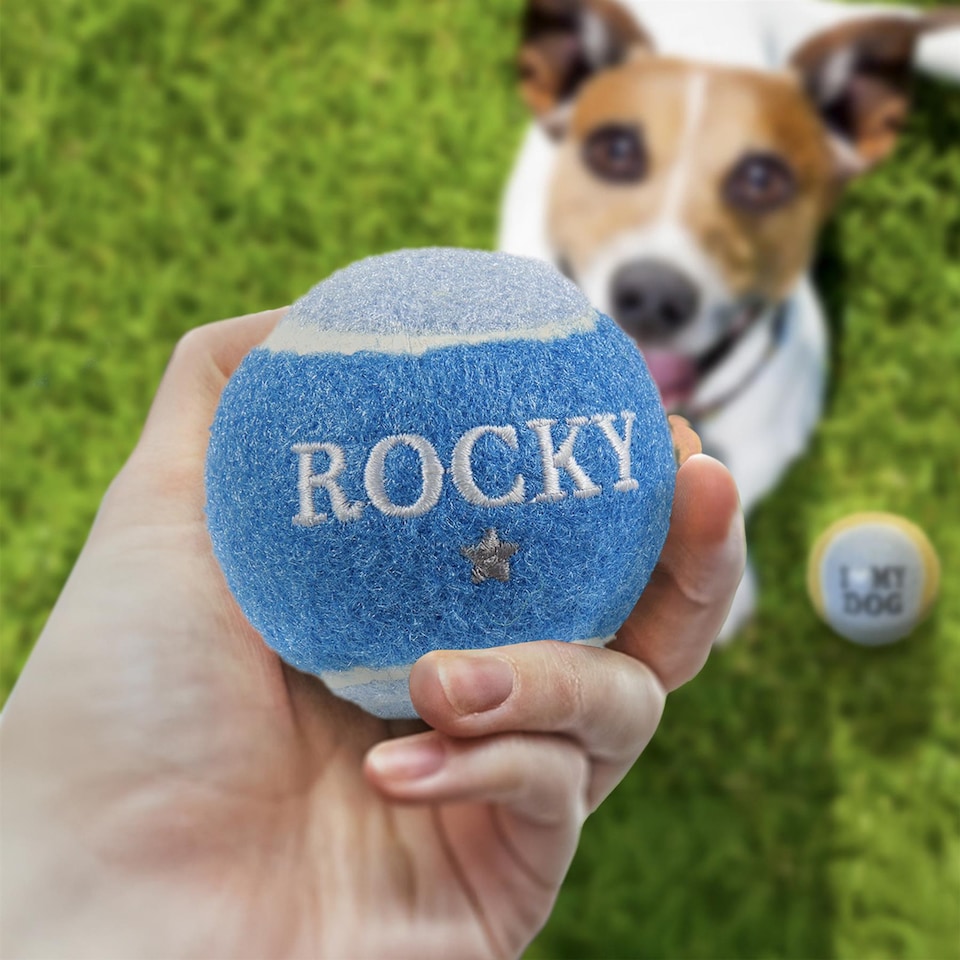 image 1 of Pre-Personalised Dog Ball Gift Pack 2pcs Blue Rocky