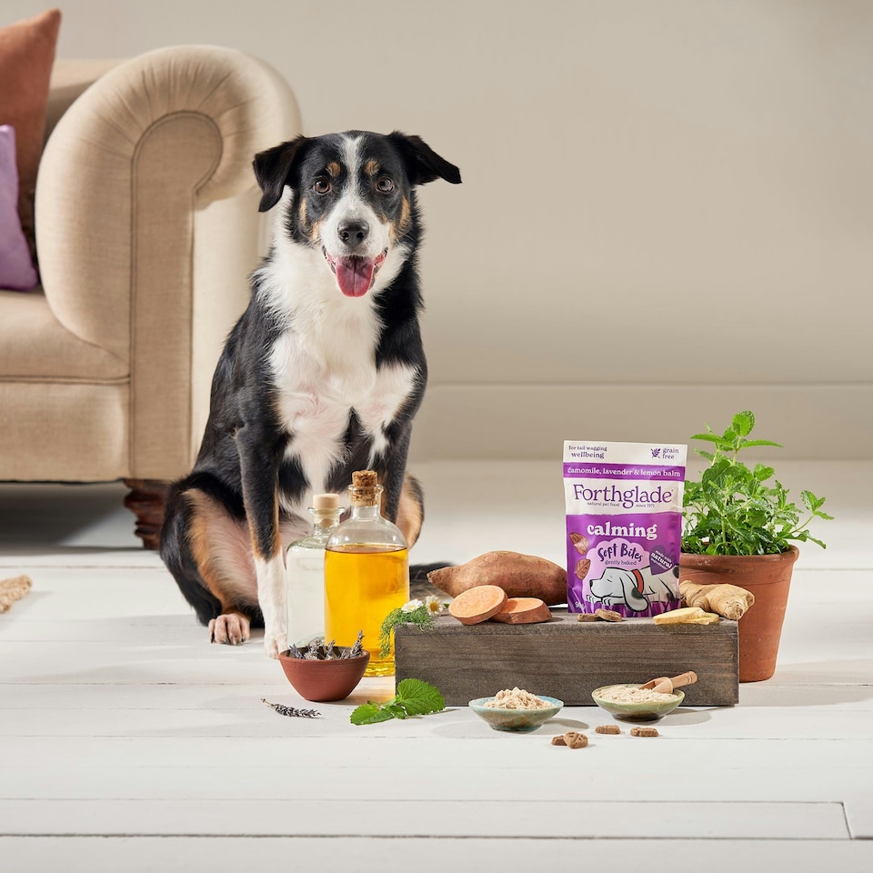 image 1 of Calming Dog Treats with Camomile & Lavender (8x90g)