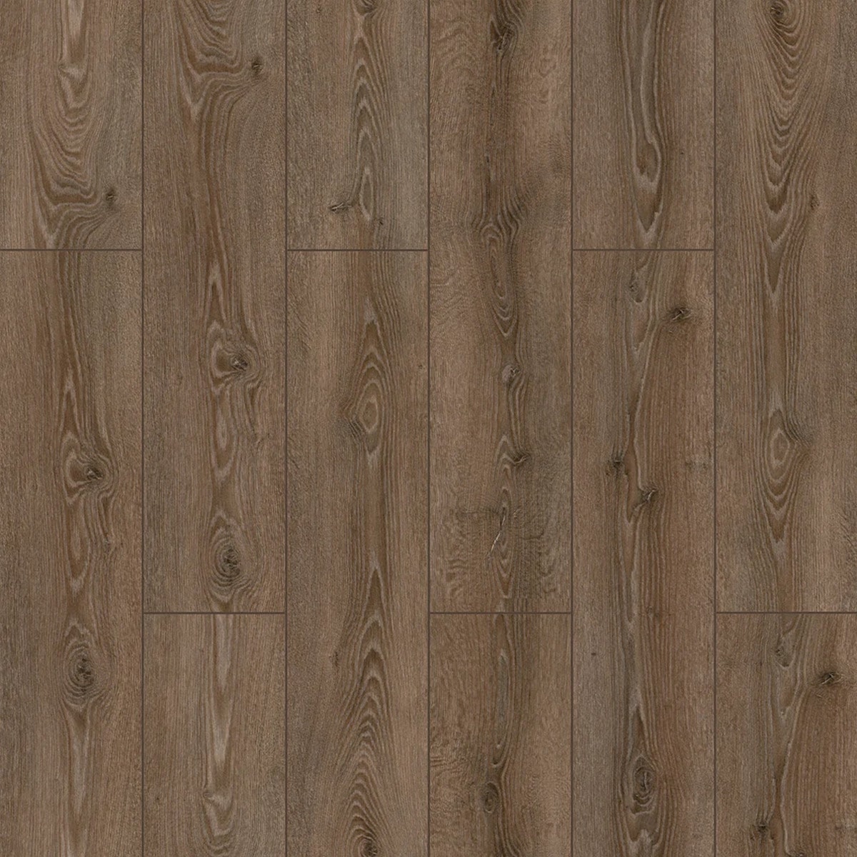 Step Pr SP006 Bosphorus Brown Wood Effect Click Laminate Flooring - Plank (8mm) For Home, Commercial Use Brown Brown 1