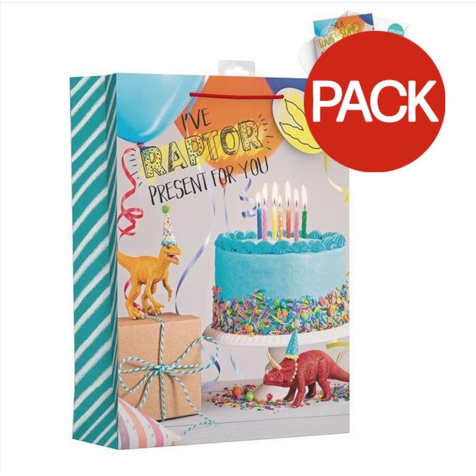 Giftmaker Dinosaur Gift Bag (Pack of 6) - Multicoloured - XL Multi