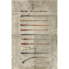 HARRY POTTER (THE WAND CHOOSES THE WIZARD) MAXI - POSTER / PRINTS