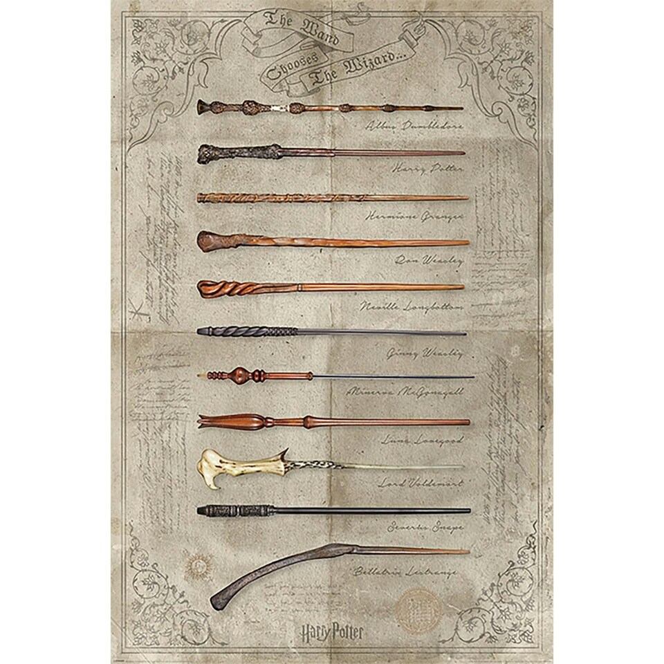 HARRY POTTER (THE WAND CHOOSES THE WIZARD) MAXI - POSTER / PRINTS