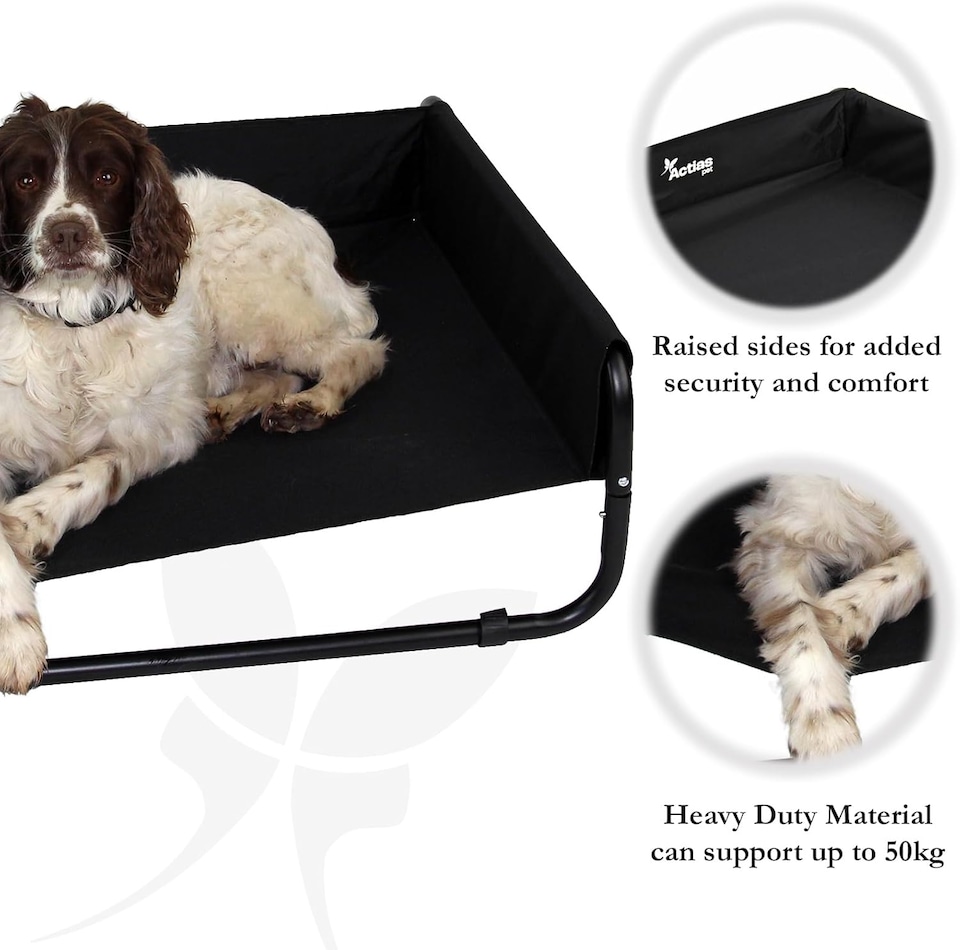 image 1 of Actiaspet Elevated Dog Bed Steel Frame Raised Pet Cot Black or Grey (Black, Medium)