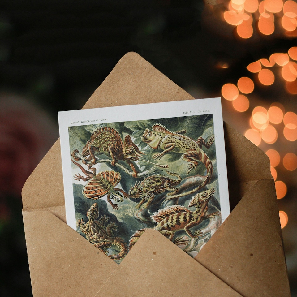 image 1 of Ernst Haeckel Art Card Lacertilia Reptile Lizard Species
