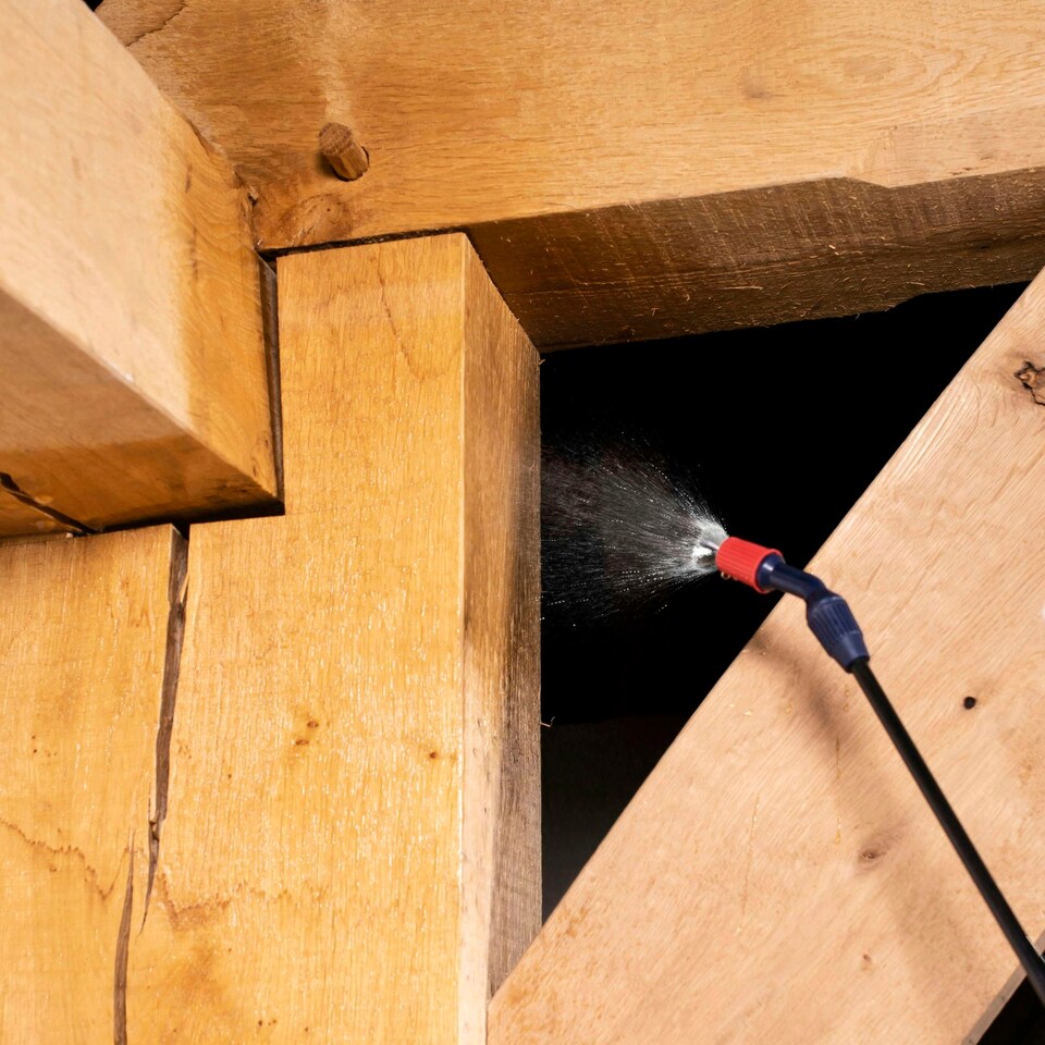 image 1 of Soluguard Woodworm Treatment (1x5L Clear & Sprayer) Ready for Use Woodworm Killer Spray