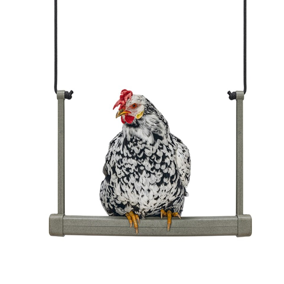 image 1 of Gaun Chicken Recycled Plastic Swing - Grey - One Size