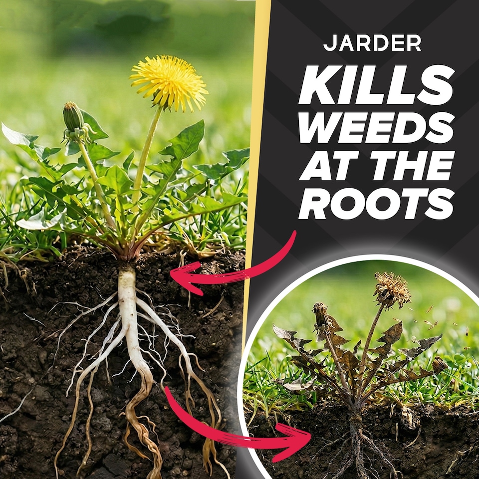 image 1 of Jarder Lawn Weed Killer Spray 2 x 5L