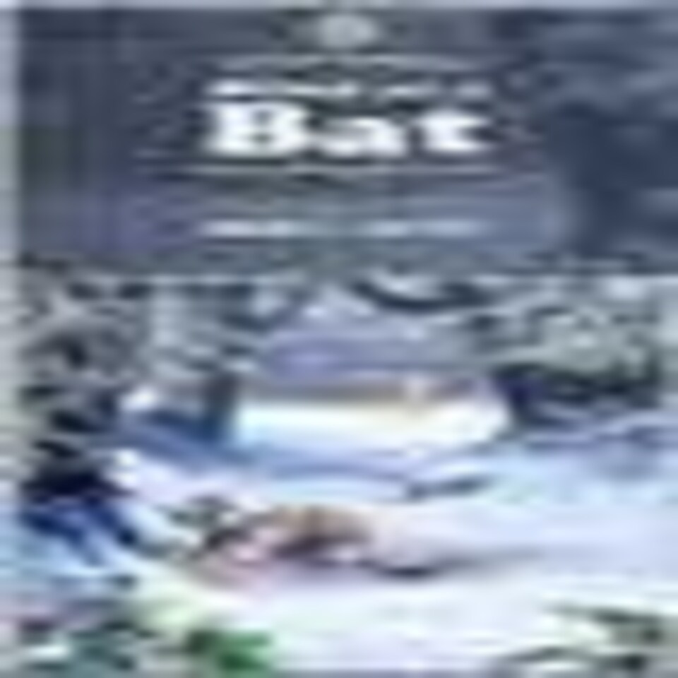 image 1 of Blind as a Bat - Mike Jupp 1000 Piece Jigsaw Puzzles