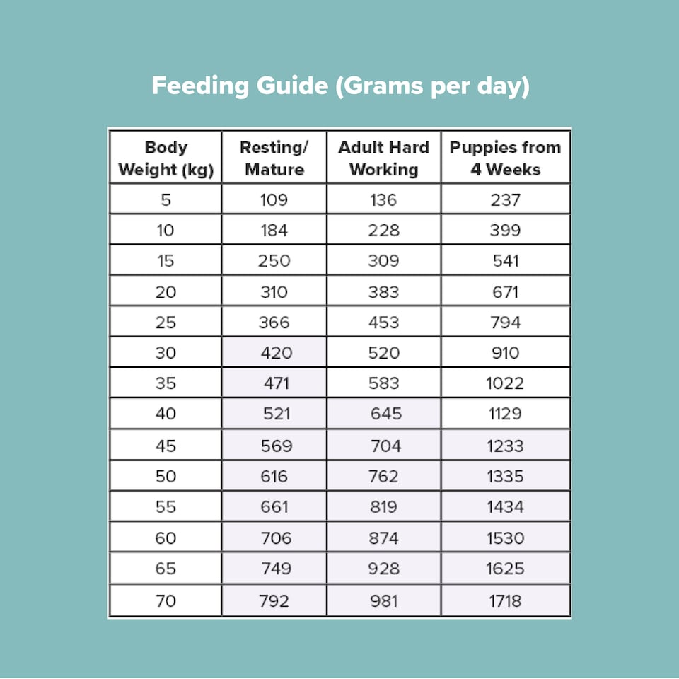 image 1 of Pero Cold Pressed Dog Food - Chicken with Wholesome Grains | Brown | 12kg | Chicken | 1