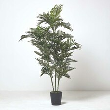 Homescapes Multi Stem Green Palm Tree in Pot, 180 cm