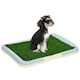 image 1 of PawHut Dog Toilet Indoor w/ Artificial Grass, Grid Panel, Tray, 63 x 48.5cm