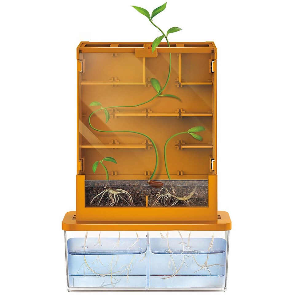 image 1 of Green Science - Grow-A-Maze