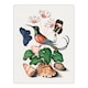 image 1 of Hummingbird Cyclamen Butterflies Seashells Bolton Huge Wall Art Poster Print