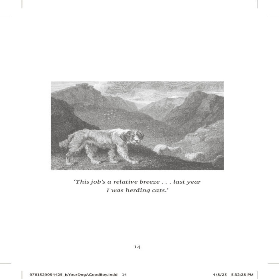 image 1 of Is Your Dog A Good Boy?