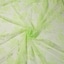 Mint Leaf Green