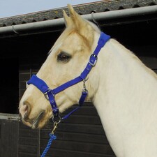 Rhinegold Comfort Headcollar And Rope Set Red | Size: Cob
Colour: Red