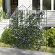 image 9 of COSTWAY 2 Pack Garden Trellis Metal Trellis for Climbing Plants