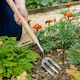 image 3 of Kent & Stowe Border Midi Hand Trowel and Fork Set, Ash Handles, Stainless Steel | Brown | 1 x Trowel, 1 x Fork | 1