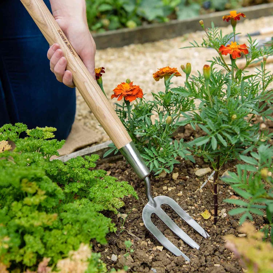 image 1 of Kent & Stowe Border Midi Hand Trowel and Fork Set, Ash Handles, Stainless Steel | Brown | 1 x Trowel, 1 x Fork | 1