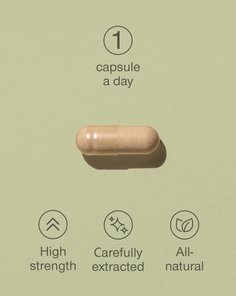 image 1 of SuperSelf Organic Lion's Mane 30 Capsules