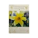 image 1 of For Goddaughter Photographic Daffodils Design Easter Card