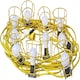 image 1 of Faithfull Power Plus Festoon Lights 10 Es Bulbs 110V 22M