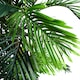 image 6 of Leaf Design 150cm Extra Wide Areca Palm Artificial Tree | Green | 5ft