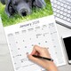 image 5 of Great Dane 2026 Calendar | Square Wall Calendar | Dog Breed Gift | Plastic Free Packaging | by Avonside Publishing