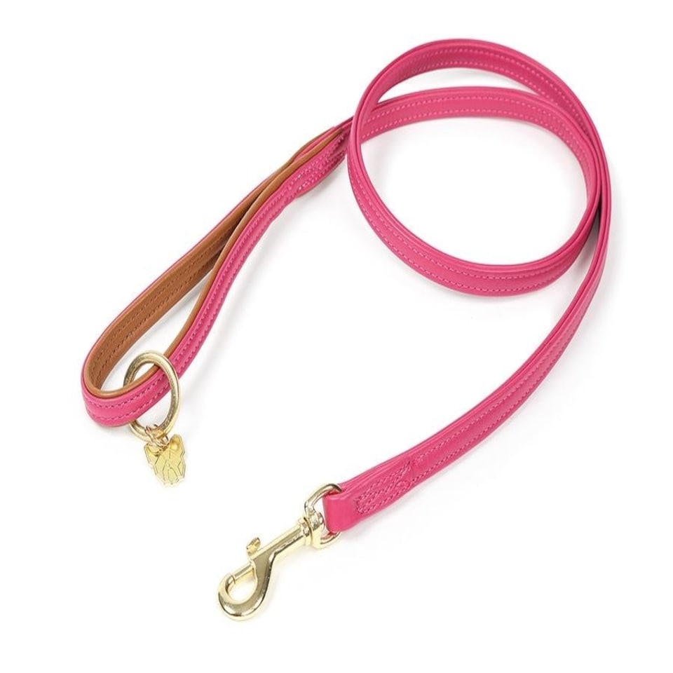 image 1 of Shires Digby & Fox Padded Leather Dog Lead Black | Size: 1.5Cm
Colour: Black