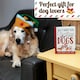 image 5 of All I Want For Christmas Is More Dogs