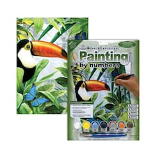 Paint By Number Small Jungle Toucan Set
