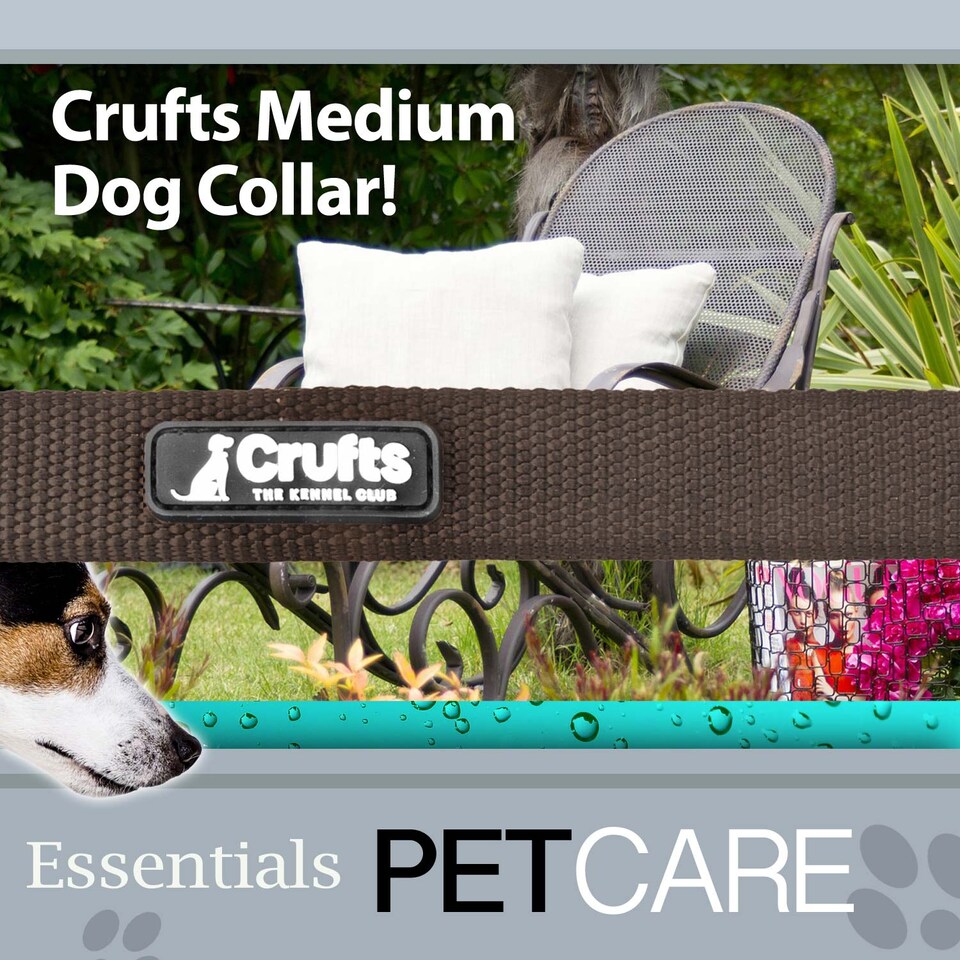 image 1 of Crufts Medium Taupe Nylon Dog Collar, Adjustable 35cm