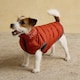 image 2 of Rosewood x Joules Moorsdale Ketchup Reversible Puffer Dog Coat | Brown | L | 1
