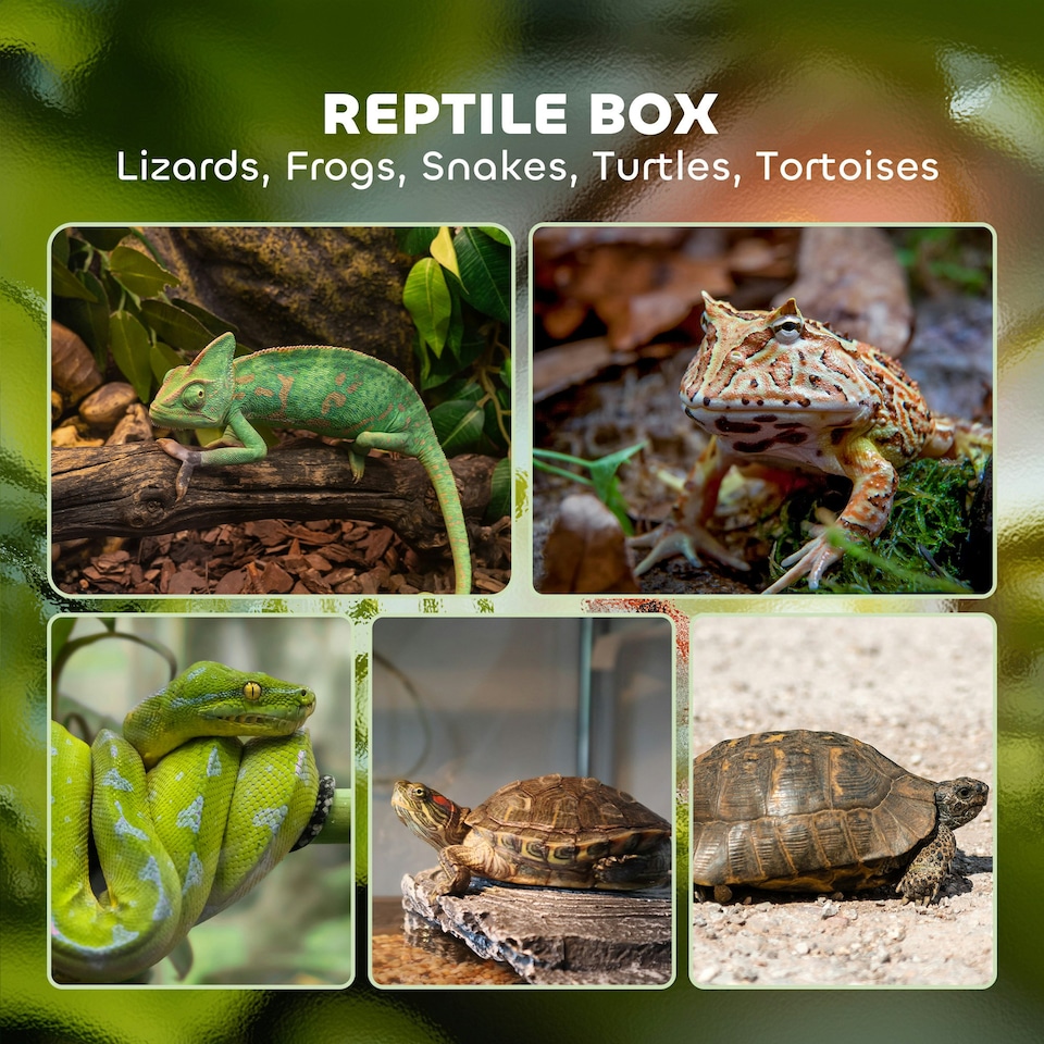 image 1 of PawHut Glass Reptile Terrarium, 40L Vivarium for Lizards, Frogs, Snakes, Turtles