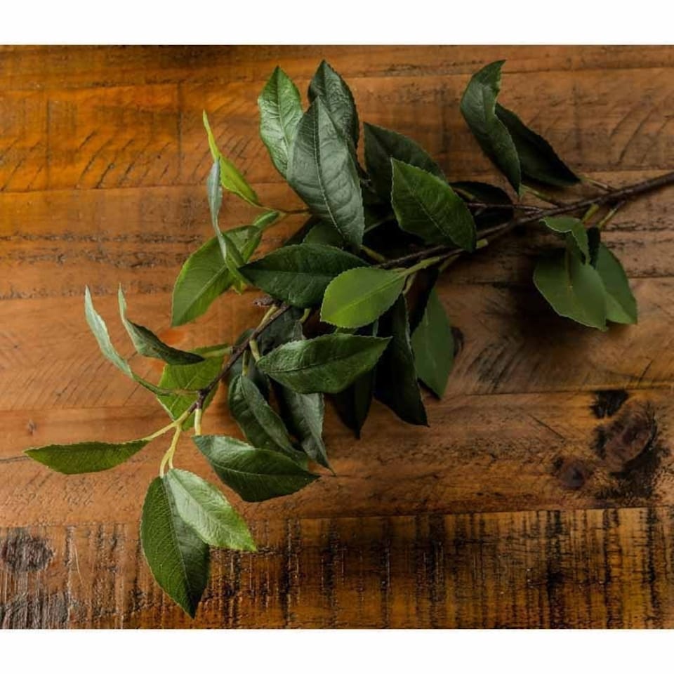image 1 of Laurel Leaf Spray Artificial Plant - Fabric/Plastic - L8 x W8 x H60 cm - Green