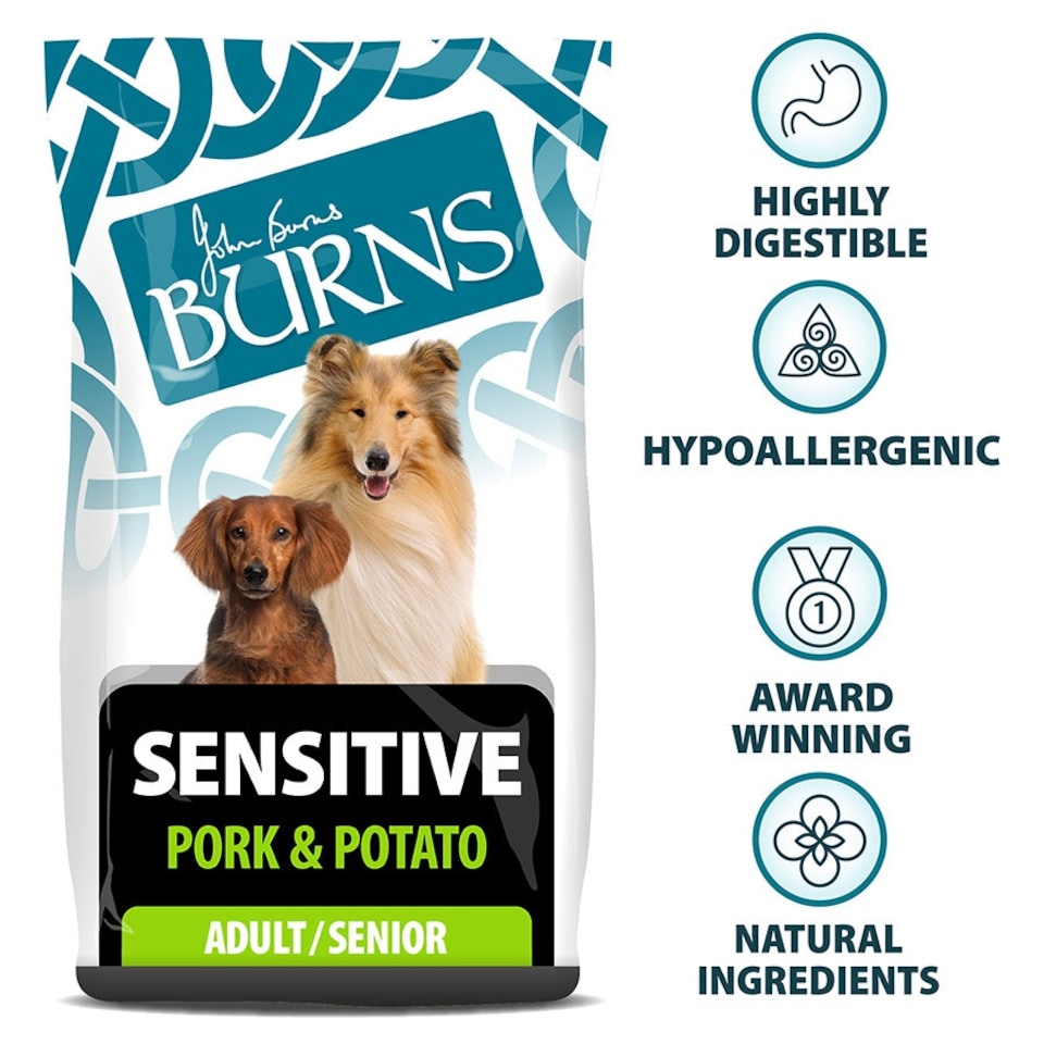 image 1 of Burns Sensitive Pork & Potato Hypoallergenic Low-Fat Adult Dry Dog Food - 2 kg