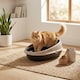 image 2 of Oval Cat Litter Tray Box with Rim | Brown | 1