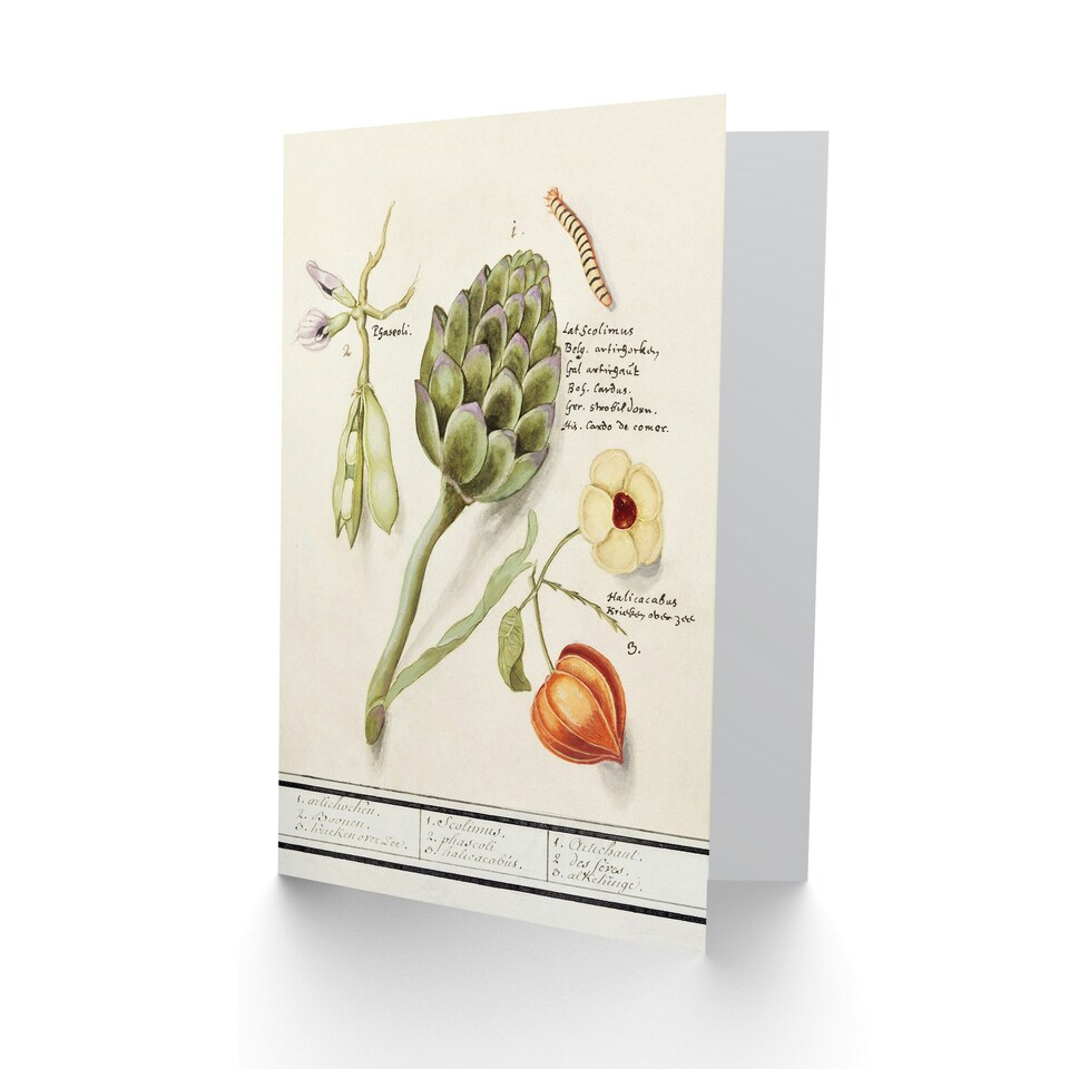 image 1 of Anselmus de Boodt Art Card Artichoke Broad Beans Groundcherry
