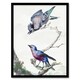 image 1 of Blue Jay and a Purple Breasted Cotinga Schouman Framed Wall Art Print 12X16"