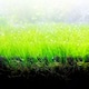 image 3 of Fluval Bio Stratum Volcanic Soil Aquarium Substrate 4 kg / 8.8 lb | Multi