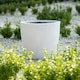 image 1 of Primrose White Handmade Egg Shape Fiberstone Indoor Outdoor Planter 36cm