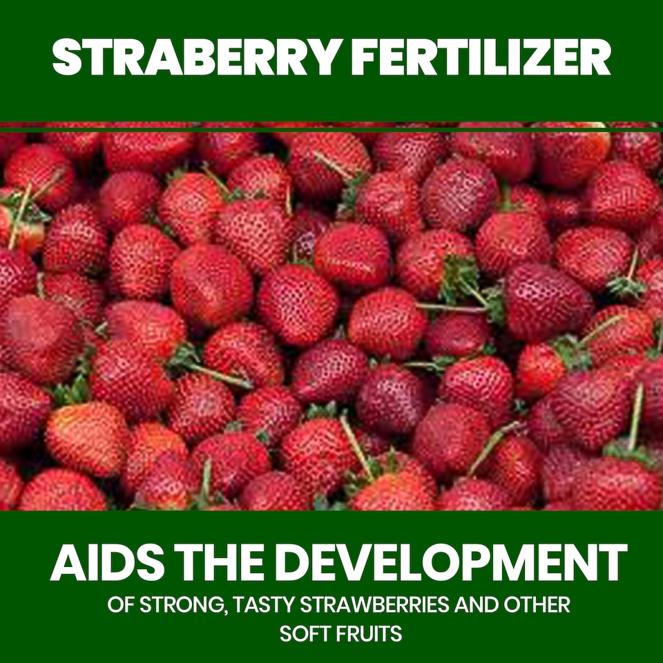 image 1 of Vitax Organic Strawberry Fertiliser 1L Liquid for Rich Flavor Bountiful Strawberries and Prolific Yields