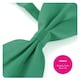 image 4 of Pack of 1 Irish Clover Hat Bow Tie + Braces Green | One Size