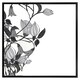 image 2 of Black & white flower illustration (Picture Frame) Brown | XS